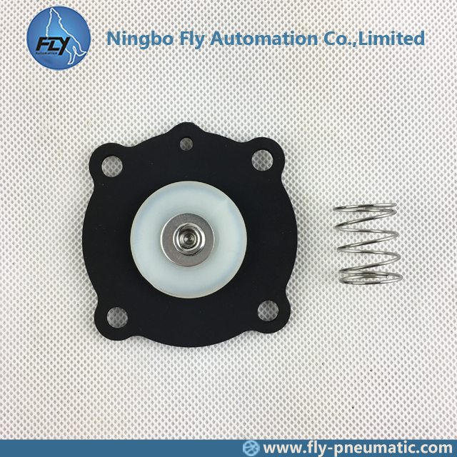 3/4 Inch Diaphragm Valves Joil JISI20 JISR20 JICR20 Diaphragm Repair Kit