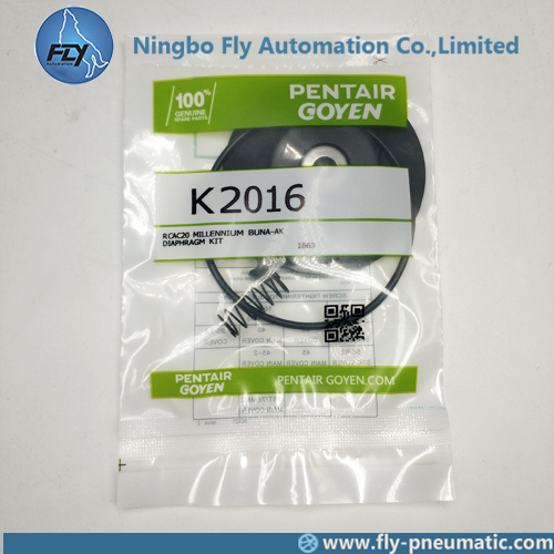 K2016 Goyen 3 series Pulse jet valve RCAC20T3 RCAC20DD3 RCAC20ST3 Diaphragm Maintenance Kits