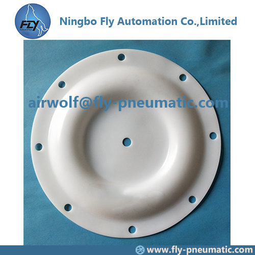 286-020-604 Sandpiper 2-inch pneumatic diaphragm pump accessories S20 diaphragm imported Teflon diaphragm