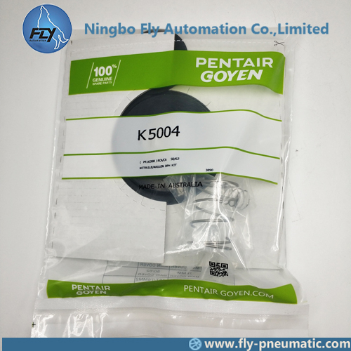 K5004 M1639B Goyen Bag dust collector CA50T010-300 RCA62T diaphragm repair kit