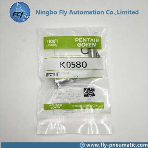 K0580 Goyen Solenoid Pilot Valve RCA5D2 Armature Plunger