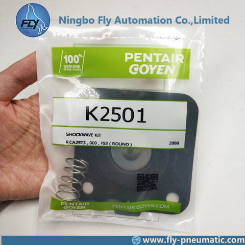 K2501 M1183B Goyen Pulse jet valve CA25T010-300 CA25DD Membrane repair kit