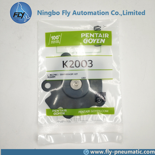 K2003 Goyen Pulse jet valve CA20MM RCA20MM Diaphragm repair kit